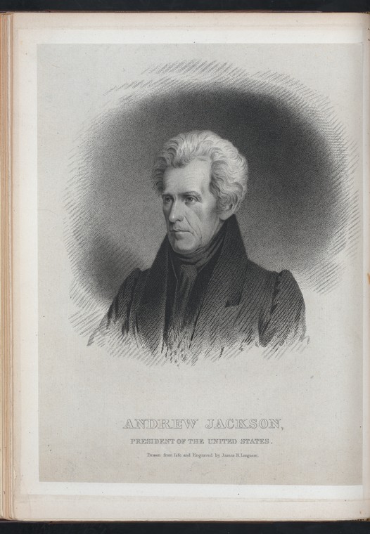 Andrew Jackson, President of the United States. Portrait of Andrew Jackson