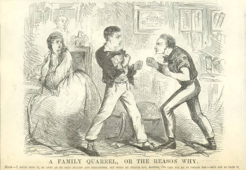 Political Cartoon 